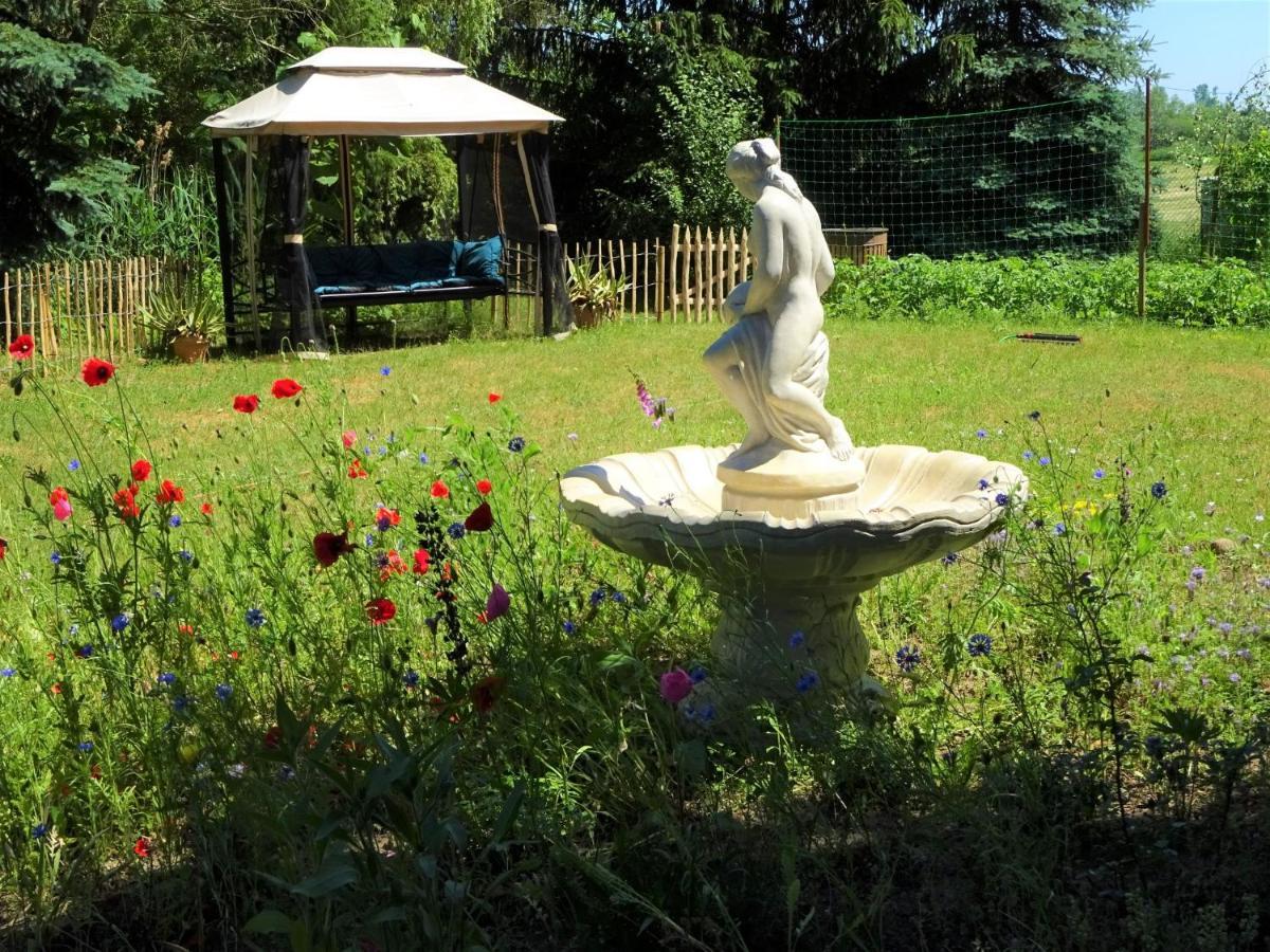Ferienanlage Waschbaer Country Templin Εξωτερικό φωτογραφία