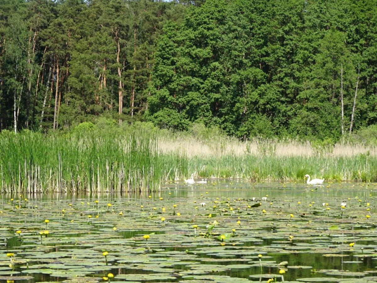 Ferienanlage Waschbaer Country Templin Εξωτερικό φωτογραφία